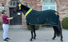 Fohlen 2023 von Bonita, La Venia
